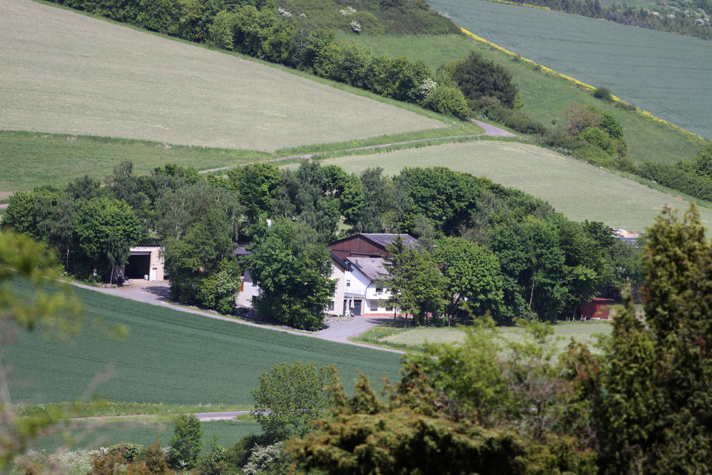 Ferienwohnung Birkenhof Volkesfeld 部屋 写真